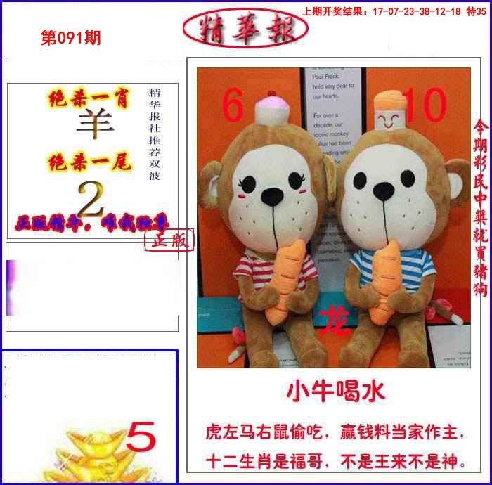 091期新精华报报[图]