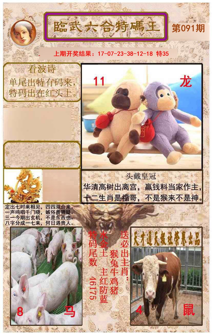 091期临武六合特码王[图]