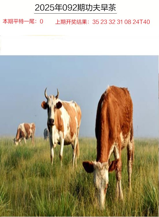 092期功夫早茶[图]