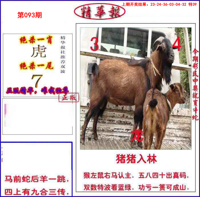 093期新精华报报[图]
