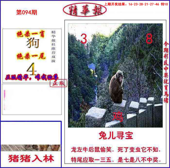 094期新精华报报[图]