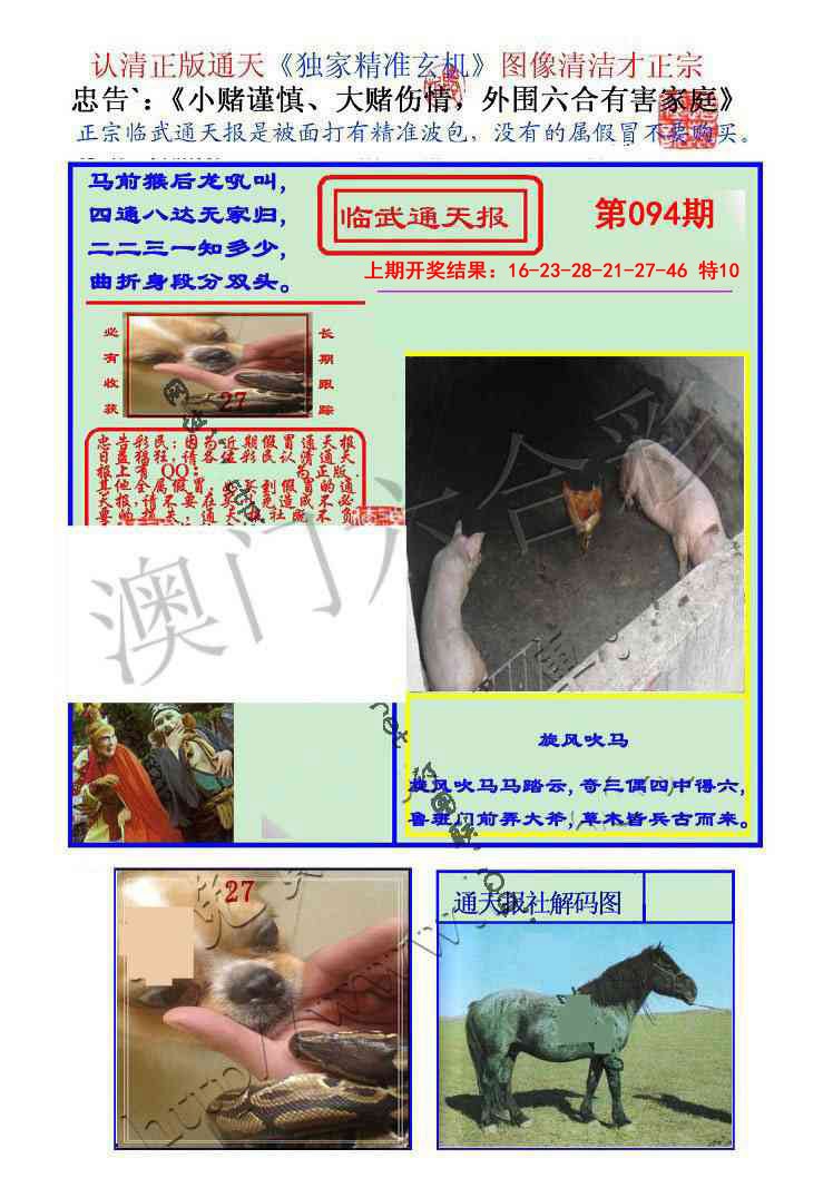 094期临武通天报[图]