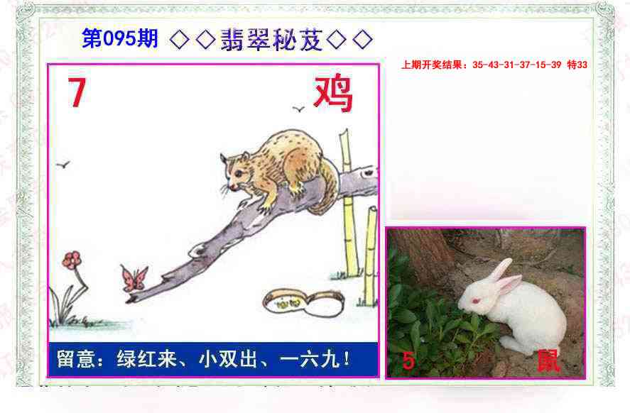 095期翡翠报[图]