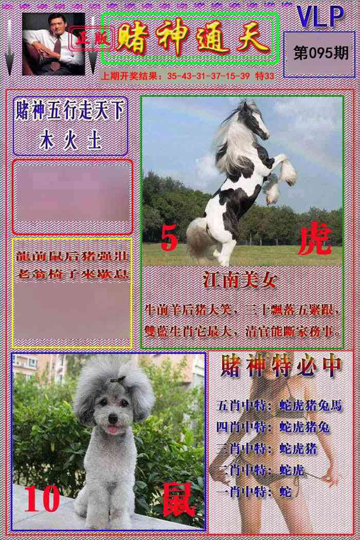 095期赌神通天报[图]
