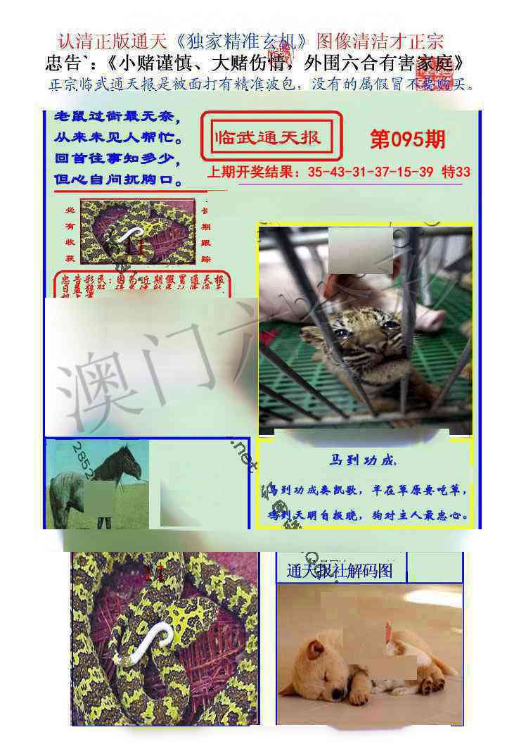 095期临武通天报[图]