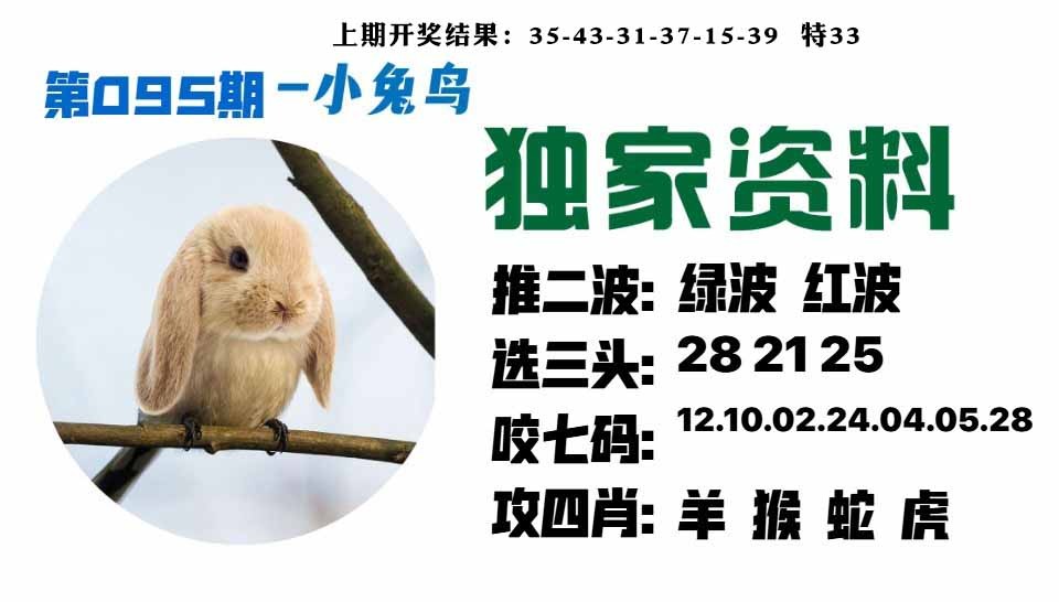 095期小兔鸟[图]