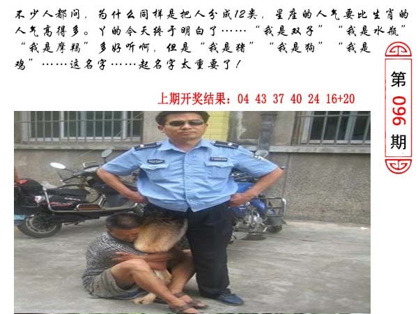 096期澳门生活幽默[图]