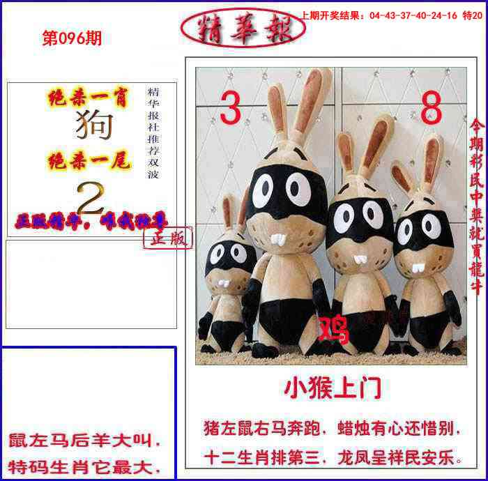 096期新精华报报[图]