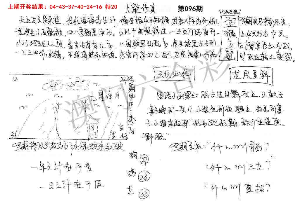 096期手写九龙内幕[图]