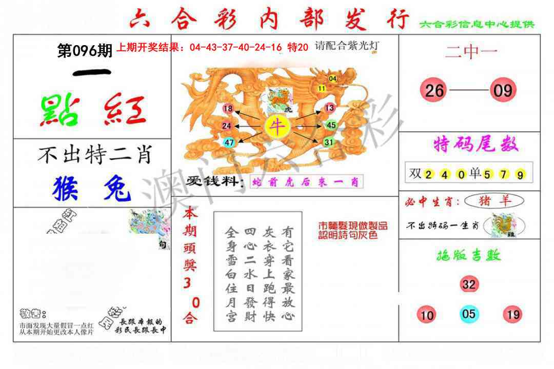096期一点红[图]