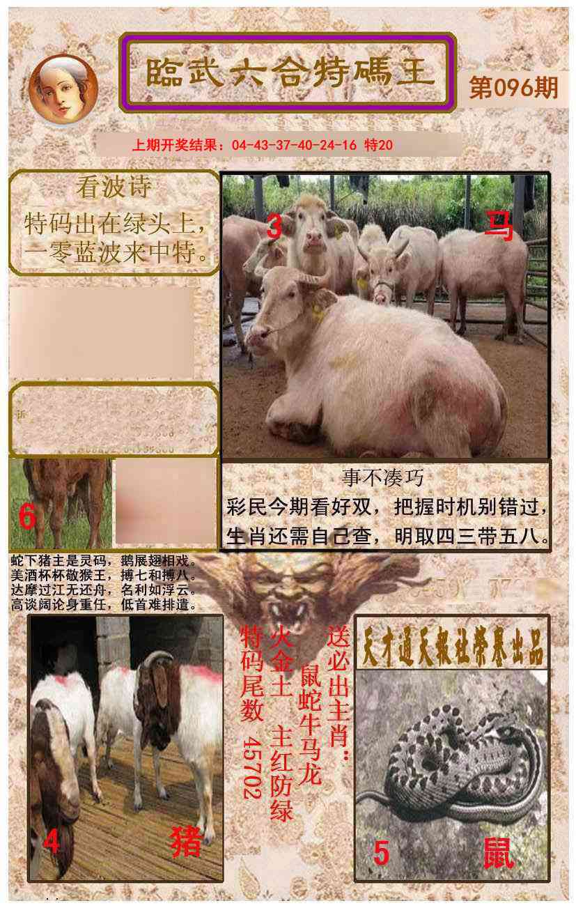 096期临武六合特码王[图]