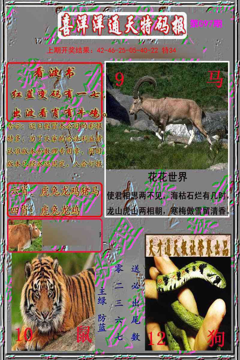 097期洋通报[图]