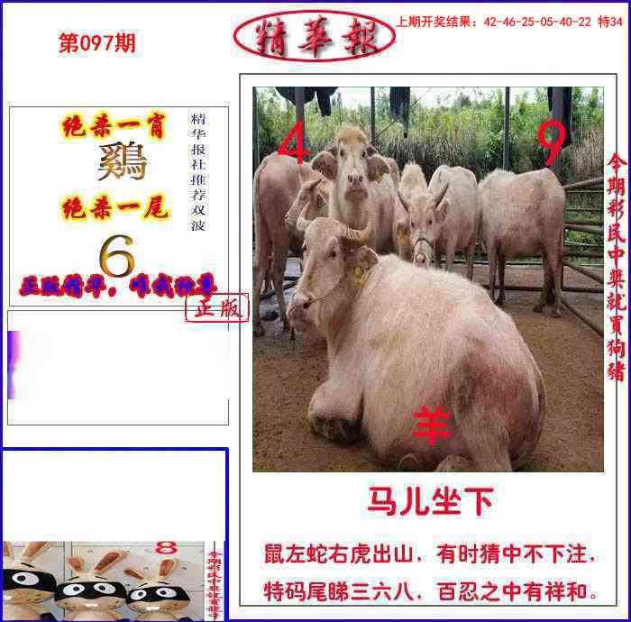 097期新精华报报[图]