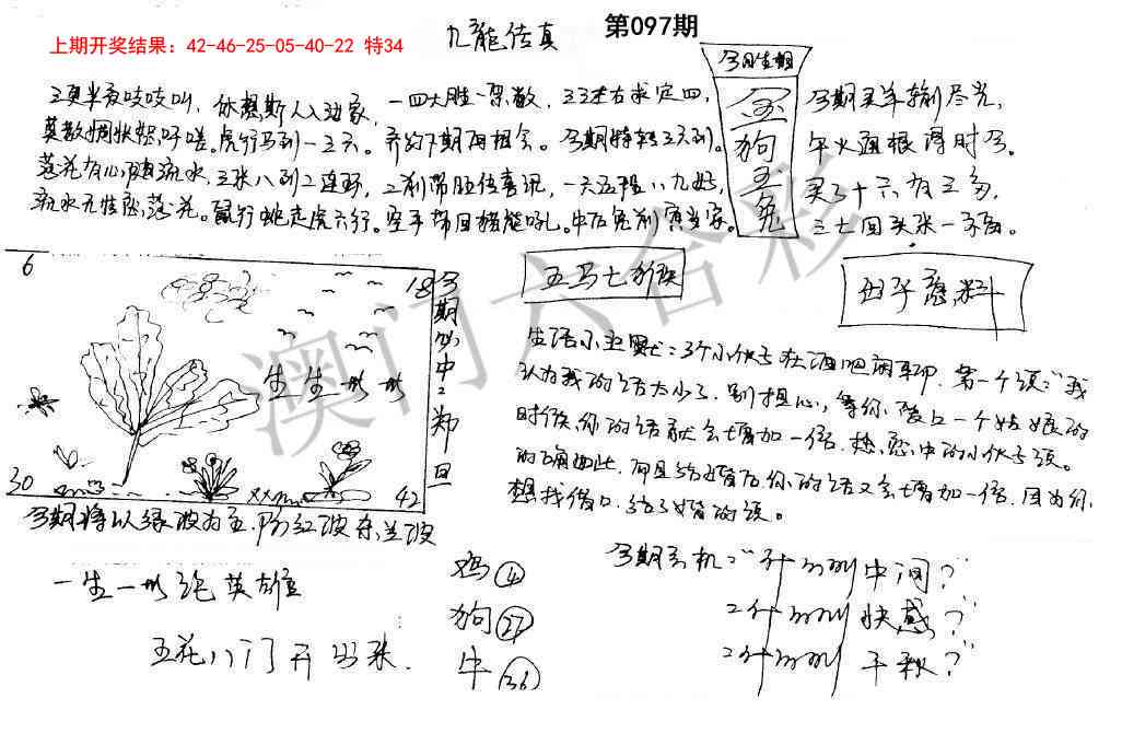 097期手写九龙内幕[图]