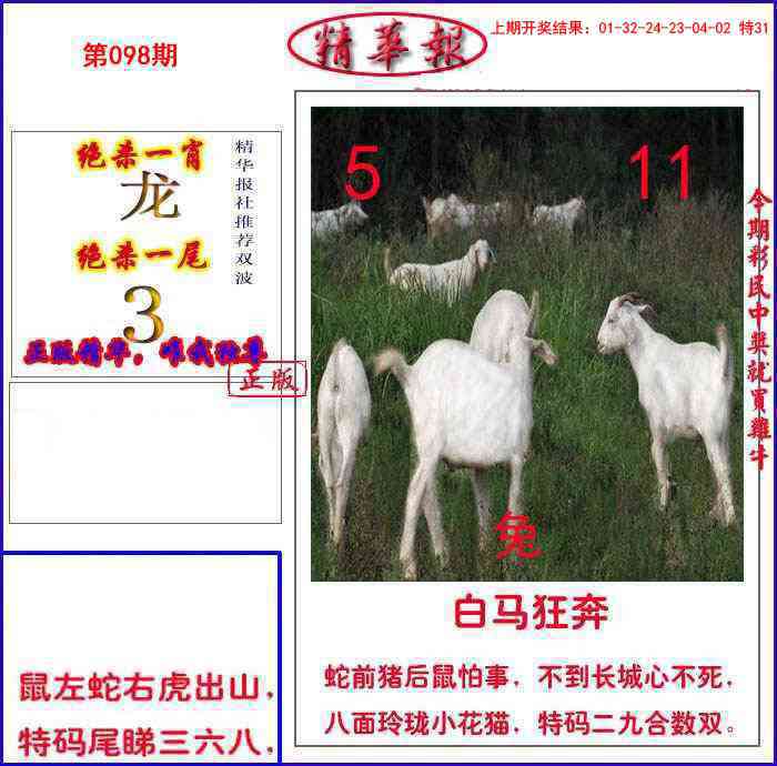 098期新精华报报[图]