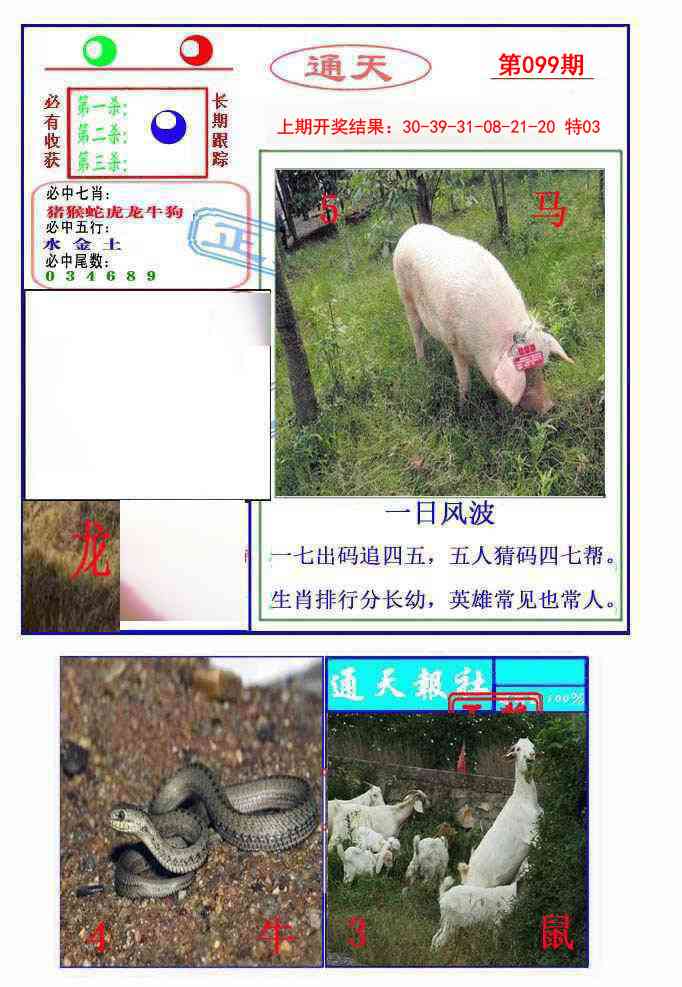 099期通天杀波图2[图]