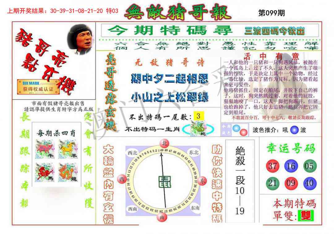 099期无敌猪哥[图]