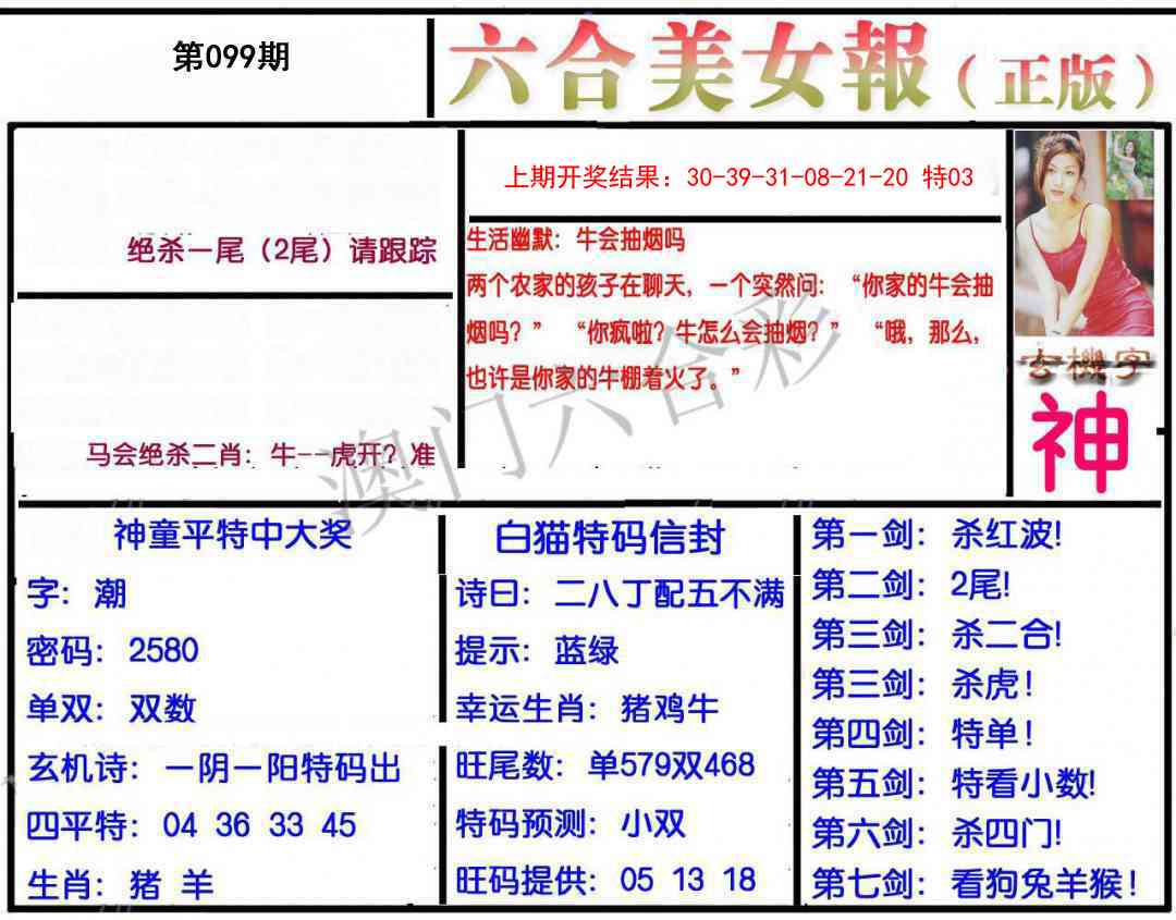 099期美女报[图]