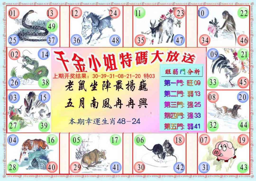 099期千金小姐B版[图]