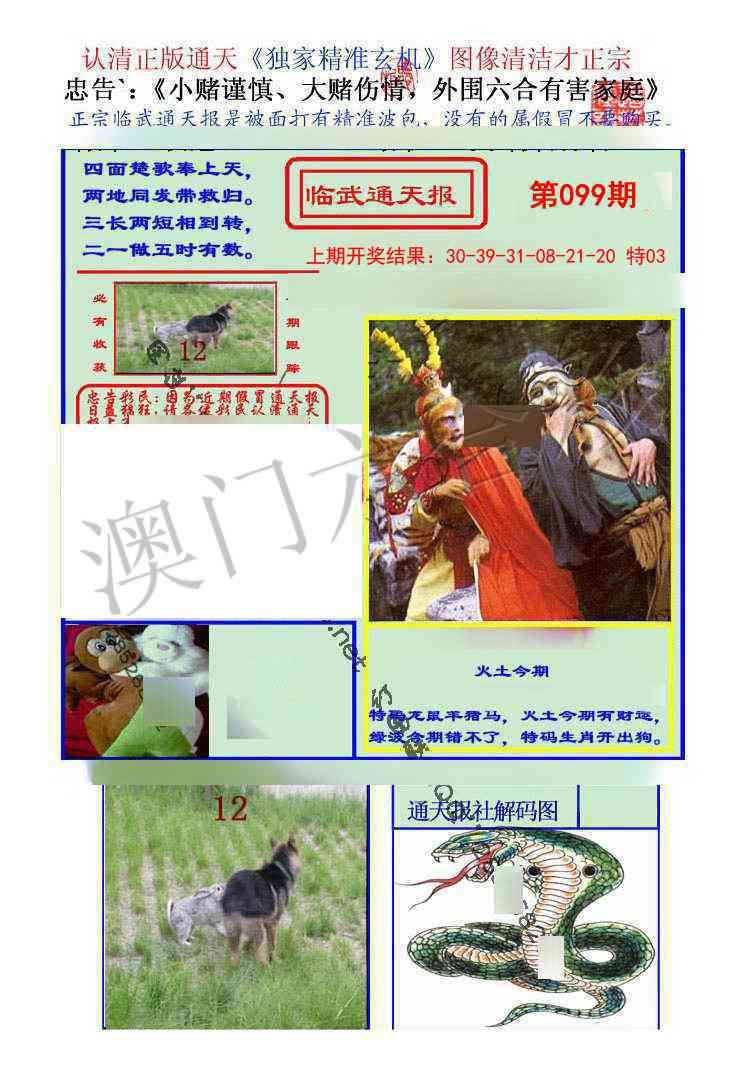 099期临武通天报[图]