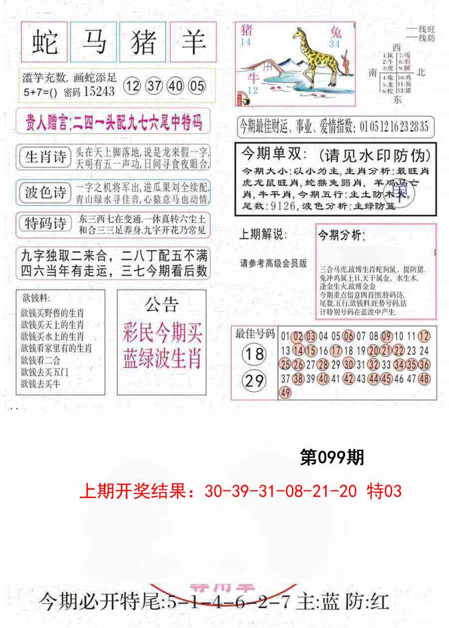 099期凤凰闲情A[图]