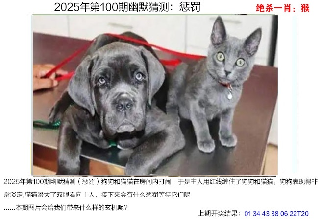 100期幽默猜测[图]