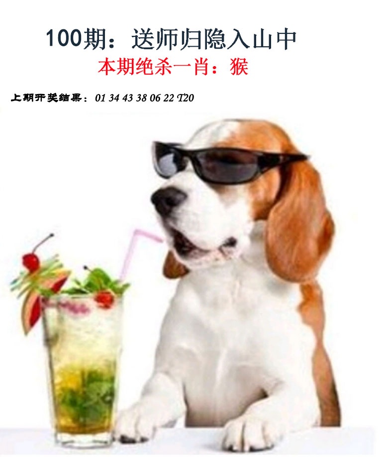 100期金钱豹自有真功夫[图]