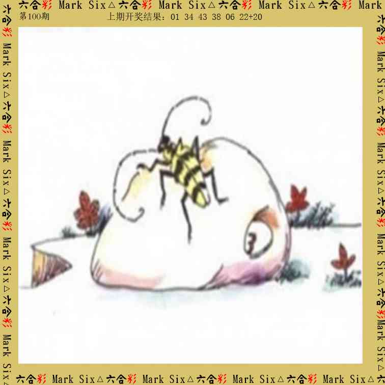 100期藏宝图[图]