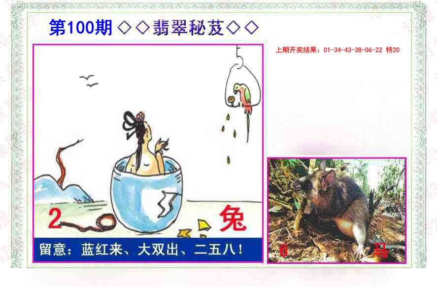 100期翡翠报[图]