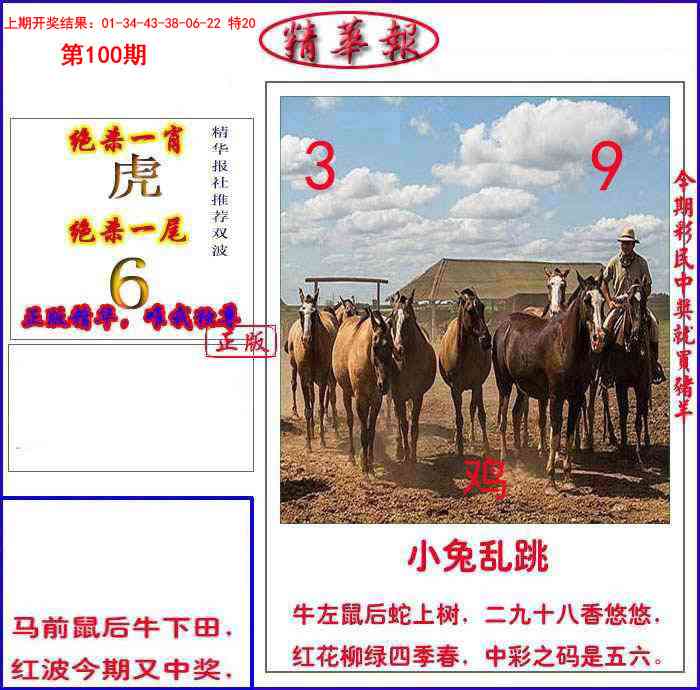 100期新精华报报[图]