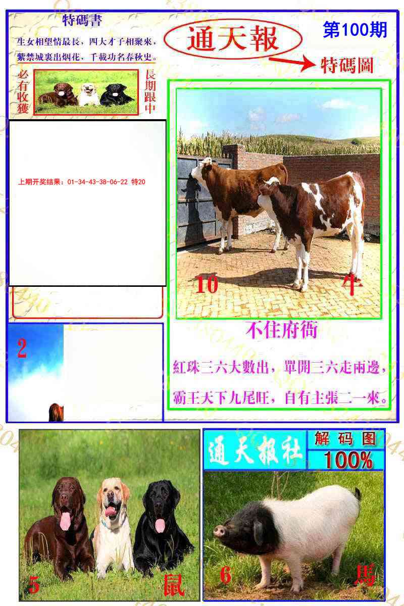 100期通天特解图[图]