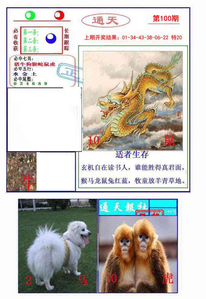 100期通天杀波图2[图]