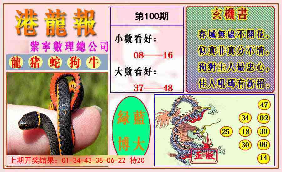 100期港龙报[图]