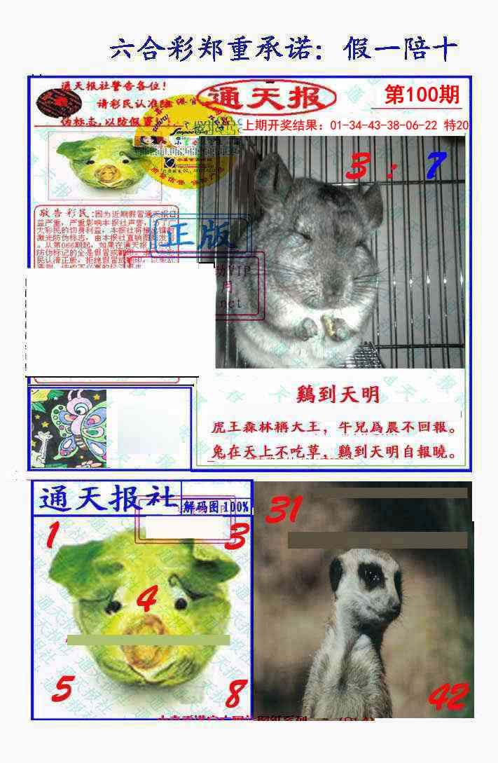 100期假一陪十通天报[图]