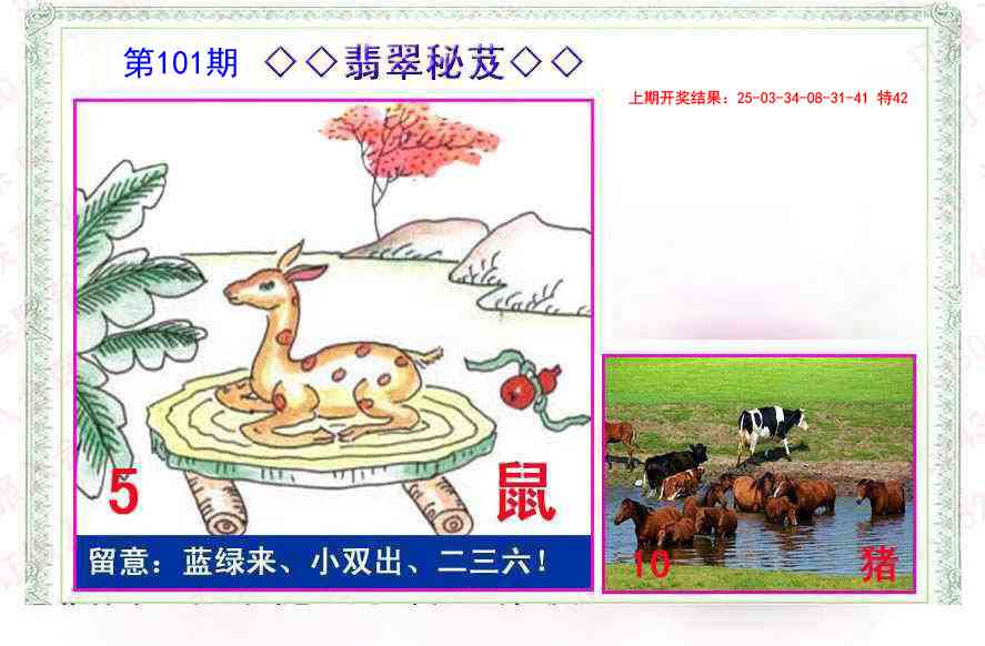 101期翡翠报[图]