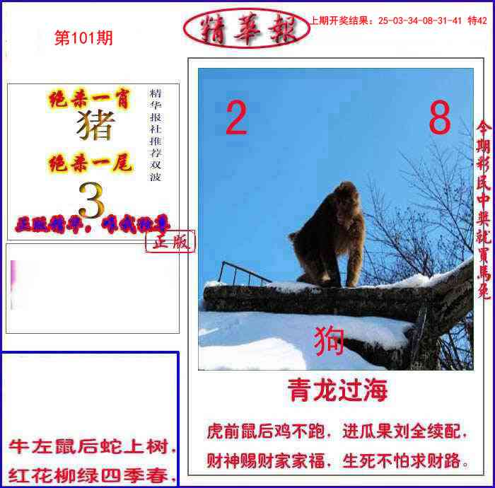 101期新精华报报[图]