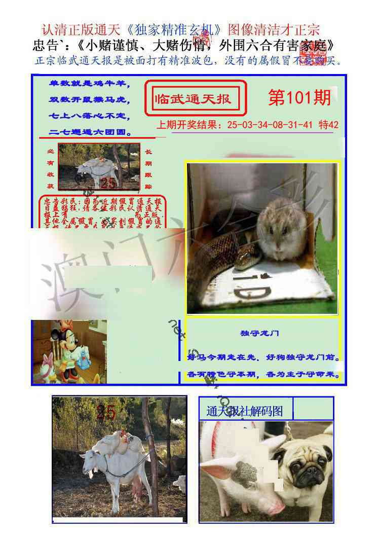 101期临武通天报[图]