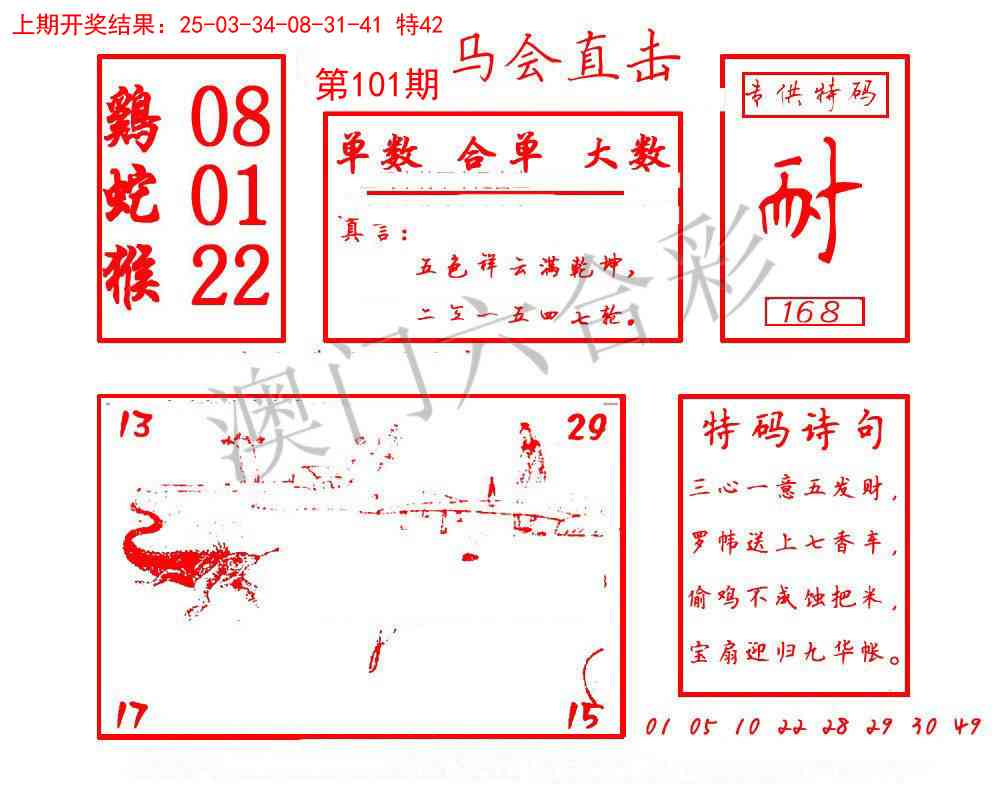101期马会直击[图]