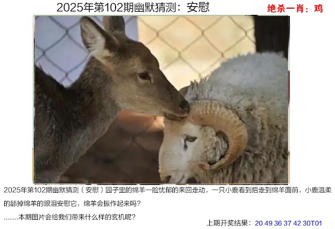 102期幽默猜测[图]