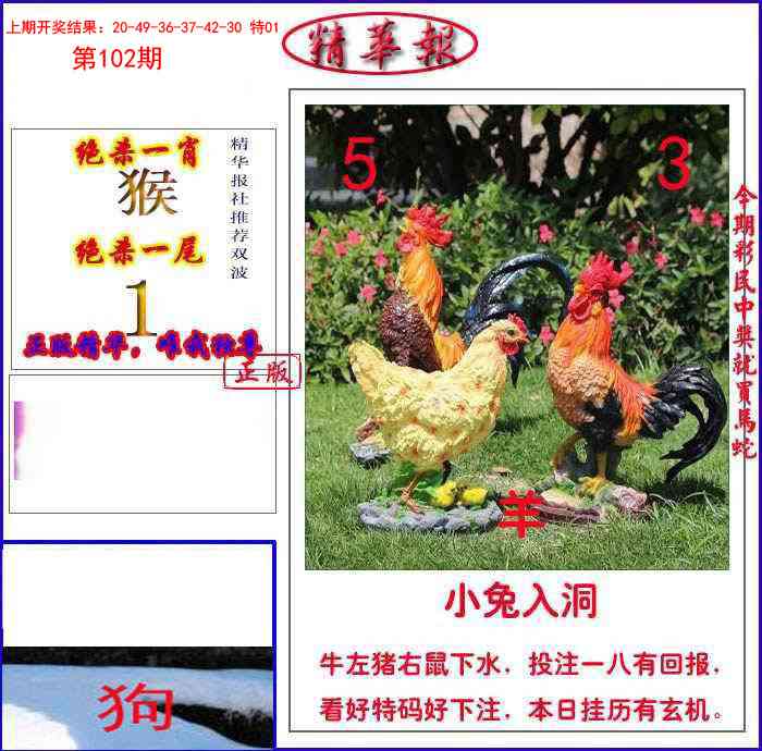 102期新精华报报[图]