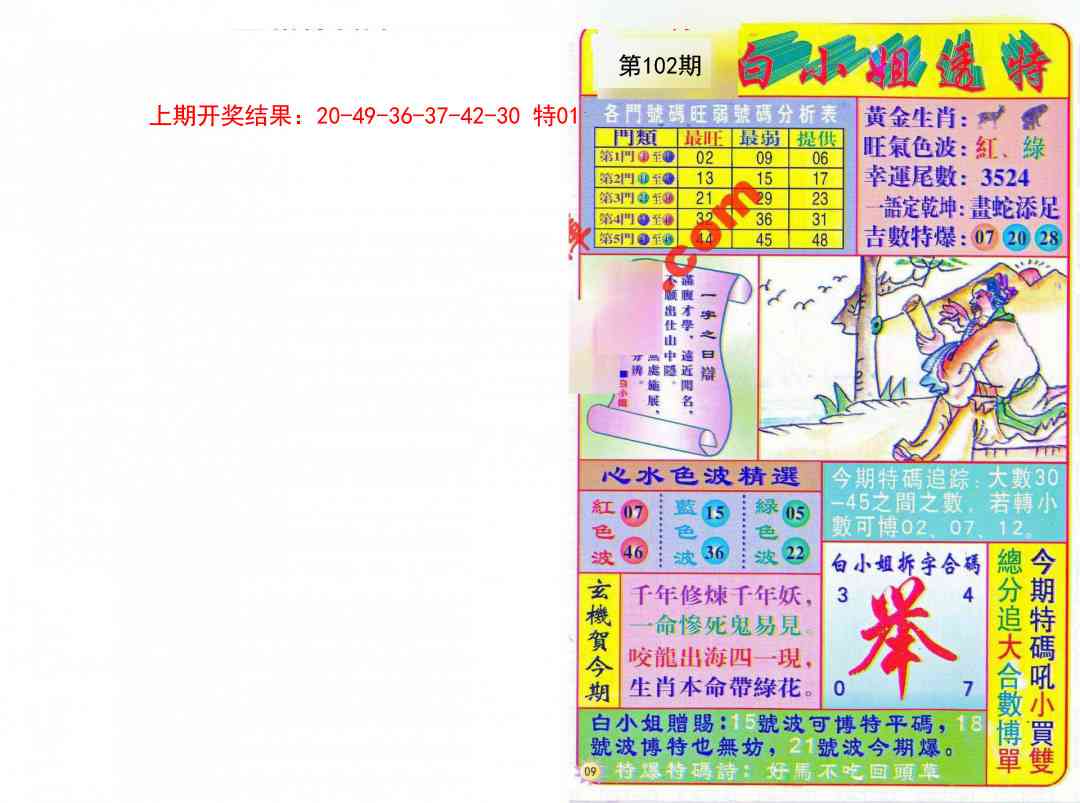 102期白小姐透特[图]