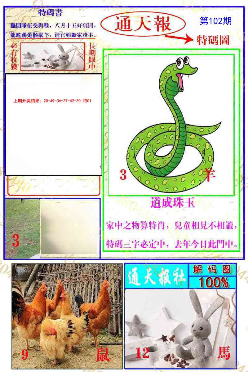 102期通天特解图[图]