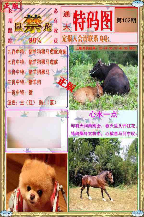 102期特码图[图]