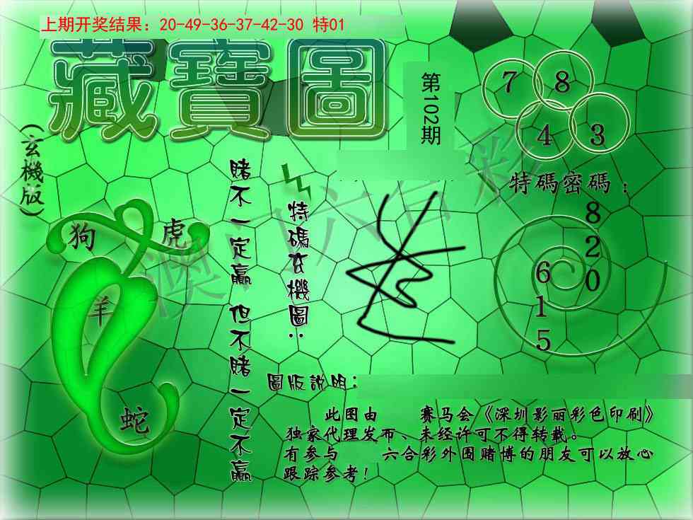 102期九龍玄机报[图]