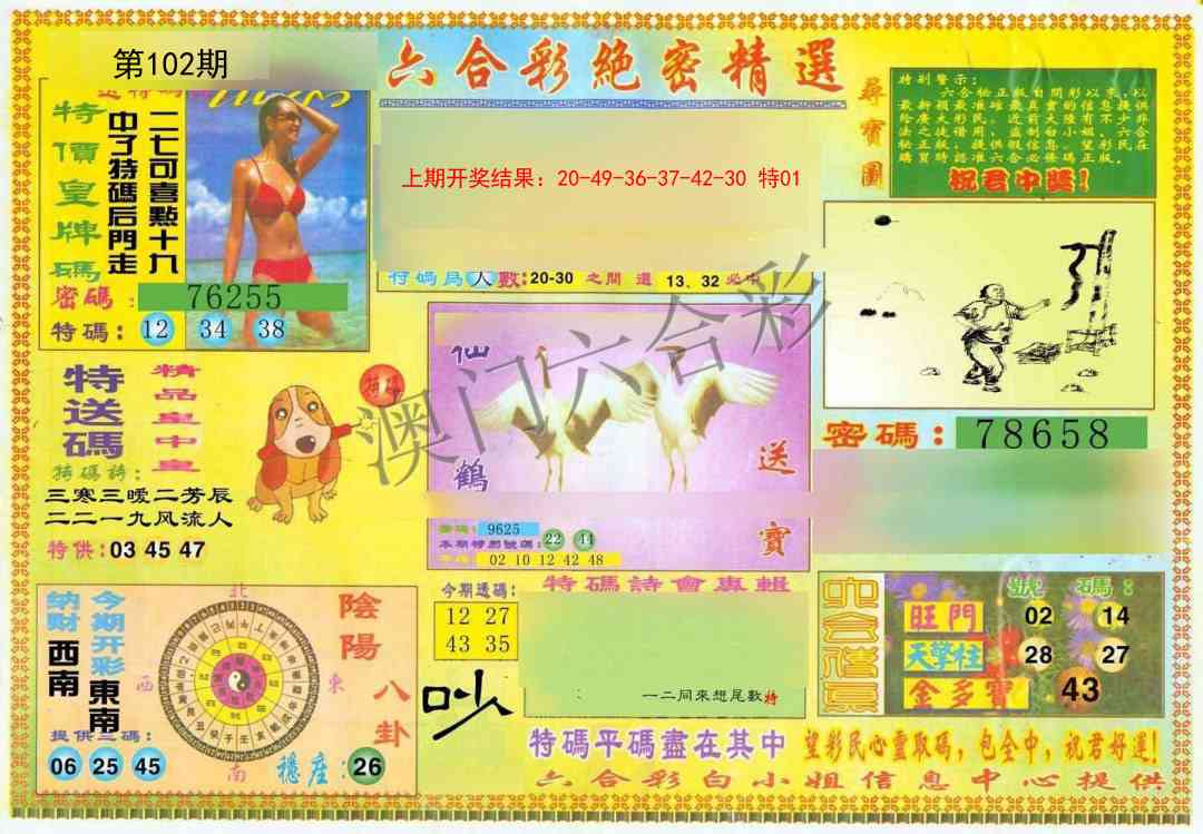 102期绝密精选A[图]