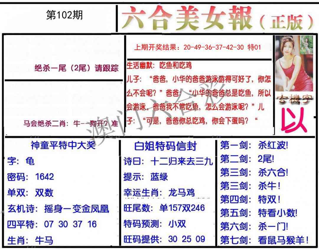 102期美女报[图]