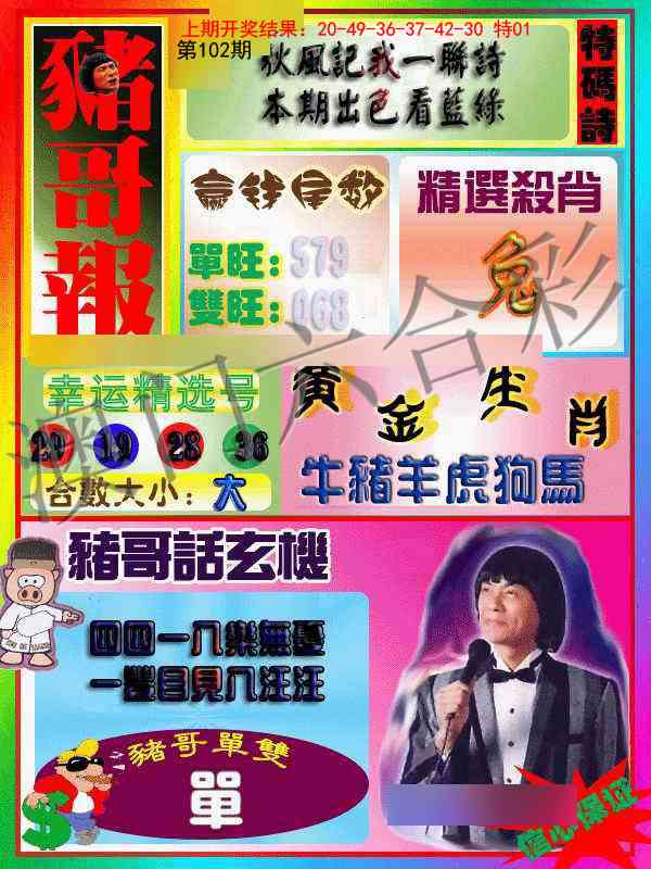 102期猪哥报[图]
