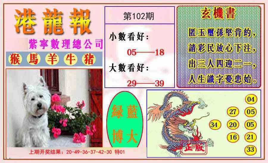 102期港龙报[图]