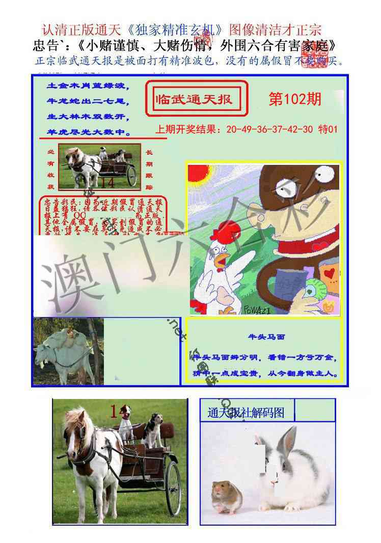 102期临武通天报[图]