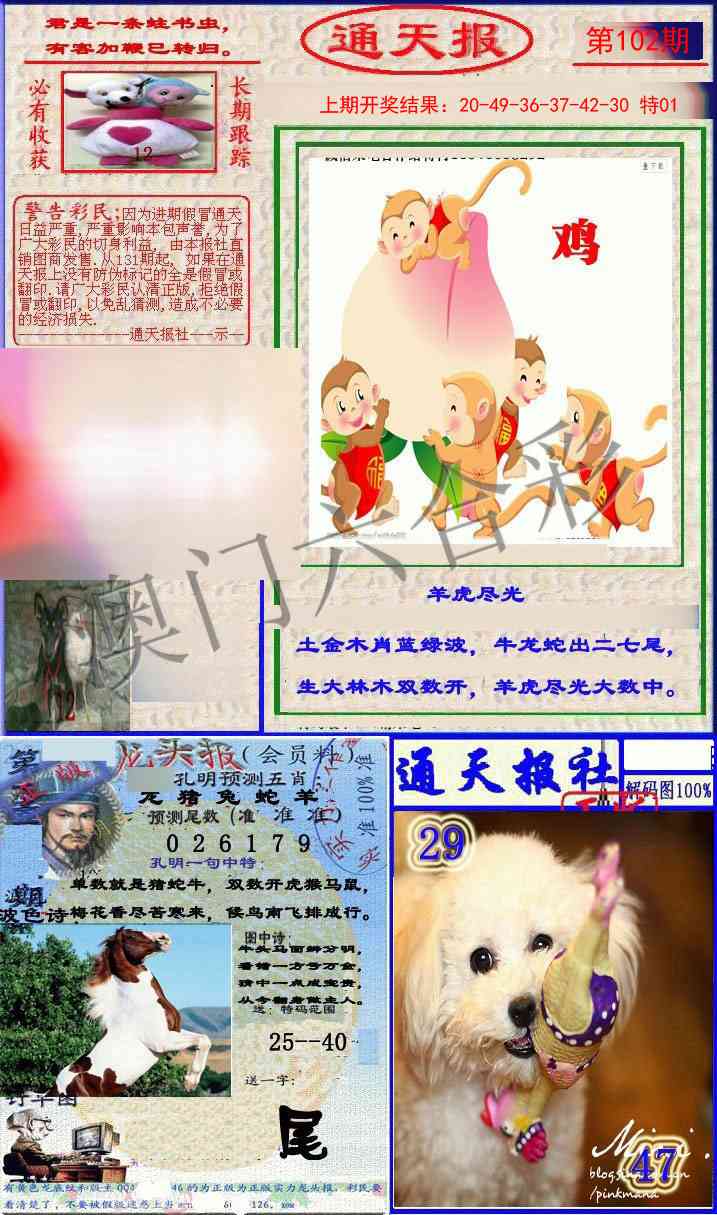 102期实力通天报[图]